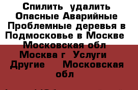 Спилить, удалить Опасные Аварийные Проблемные деревья в Подмосковье в Москве - Московская обл., Москва г. Услуги » Другие   . Московская обл.